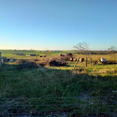 Oestermark Ærøskøbing