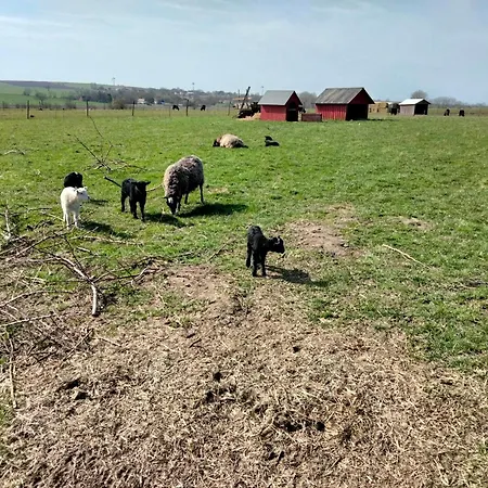 Oestermark Holiday home