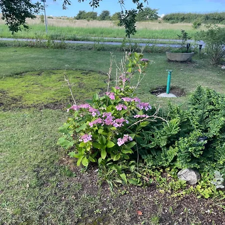 Oestermark 別荘 Ærøskøbing