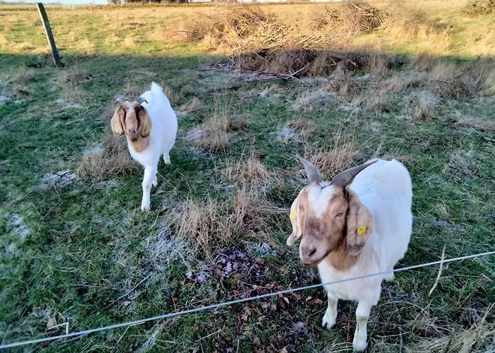 Oestermark Holiday home